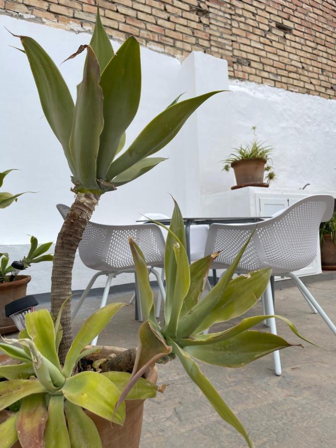 Carmela Apartment. Almunecar Exterior photo